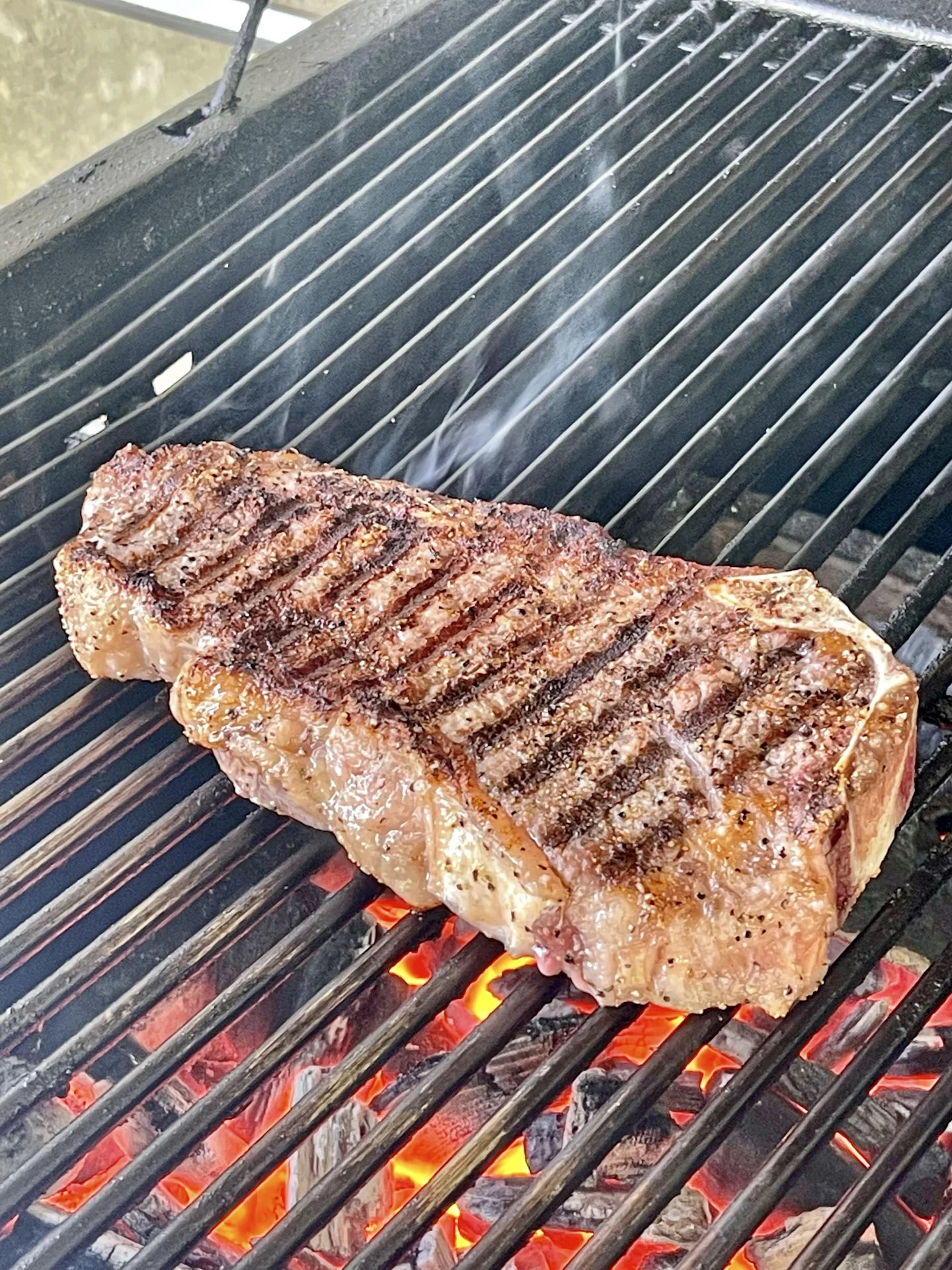 ribeye steak