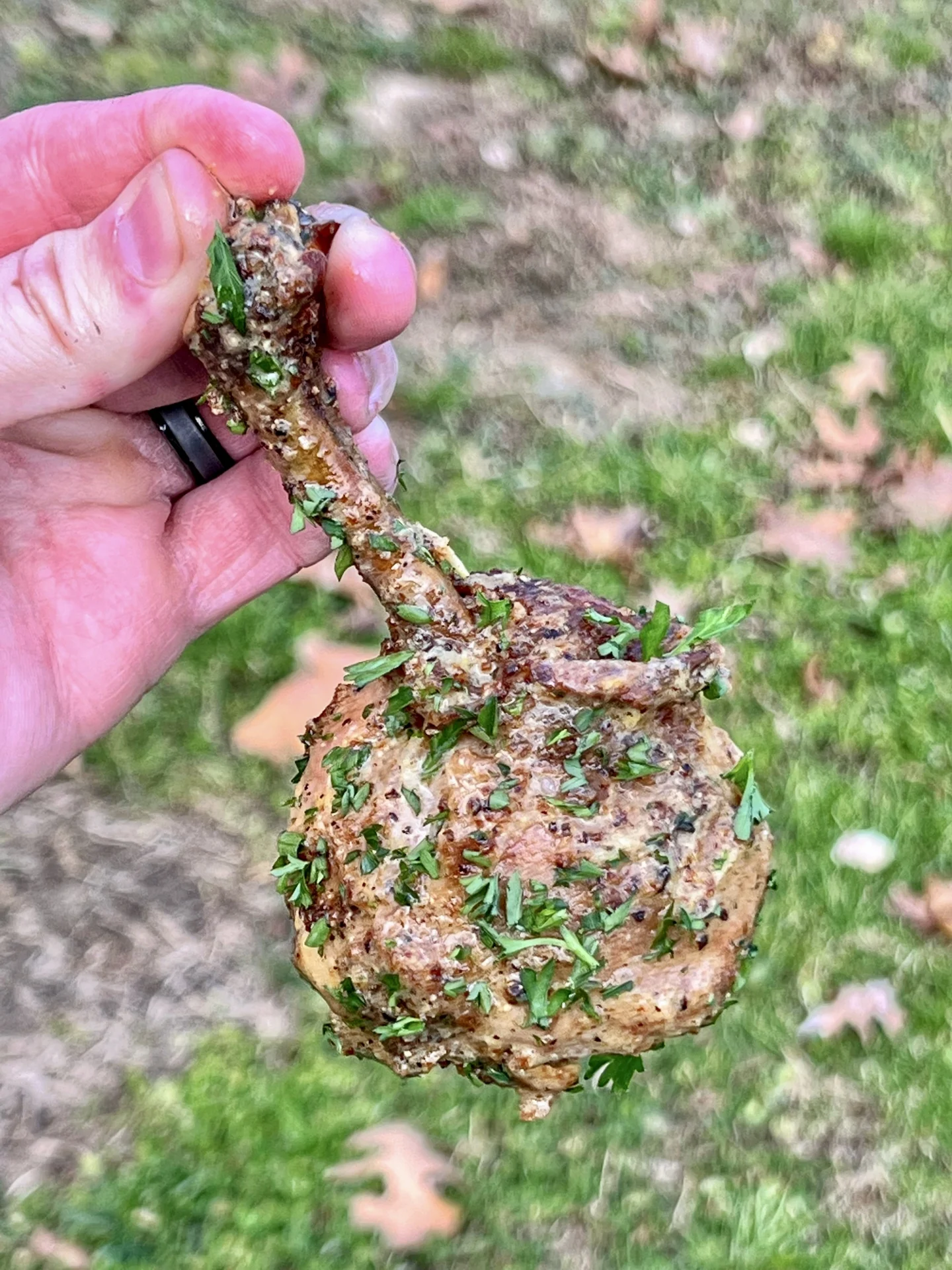 Easy chicken wing recipe