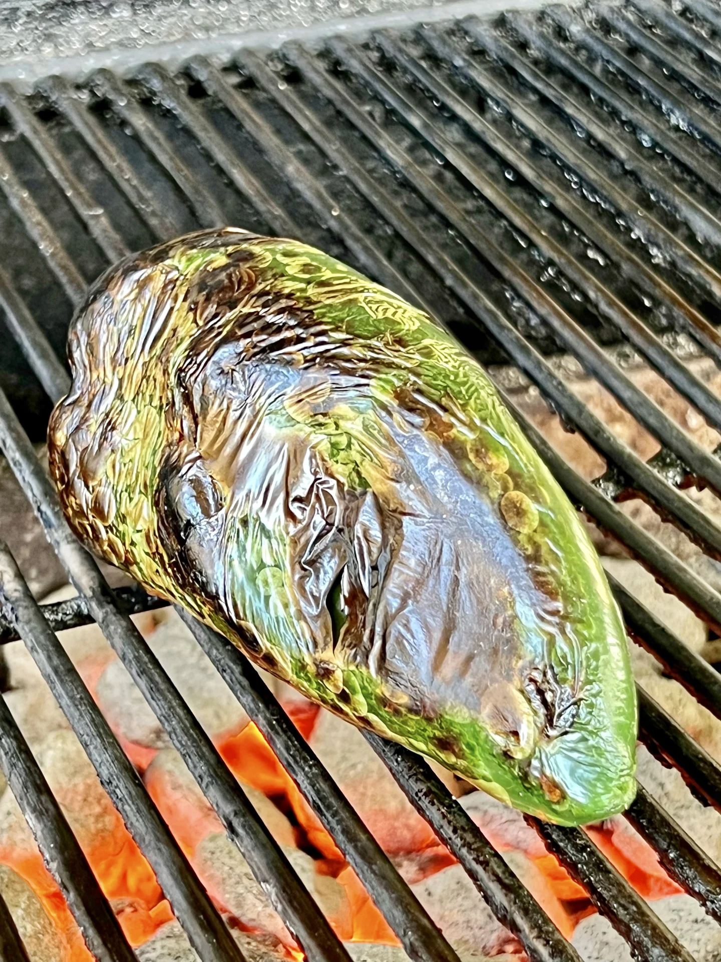 poblano pepper