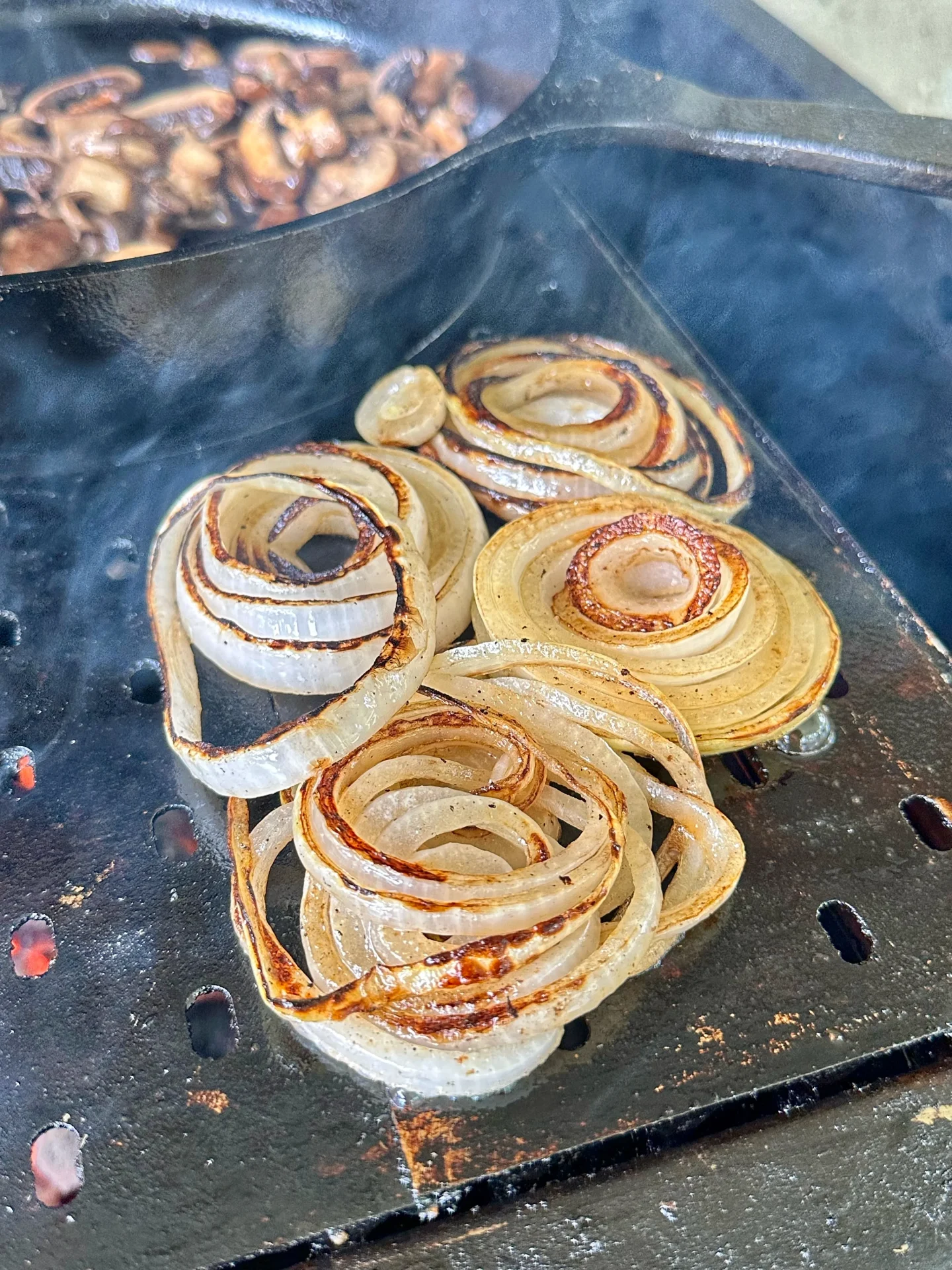grilled onions on hasty bake