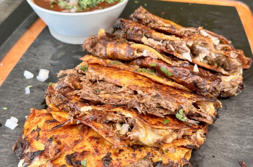 the best birria tacos recipe