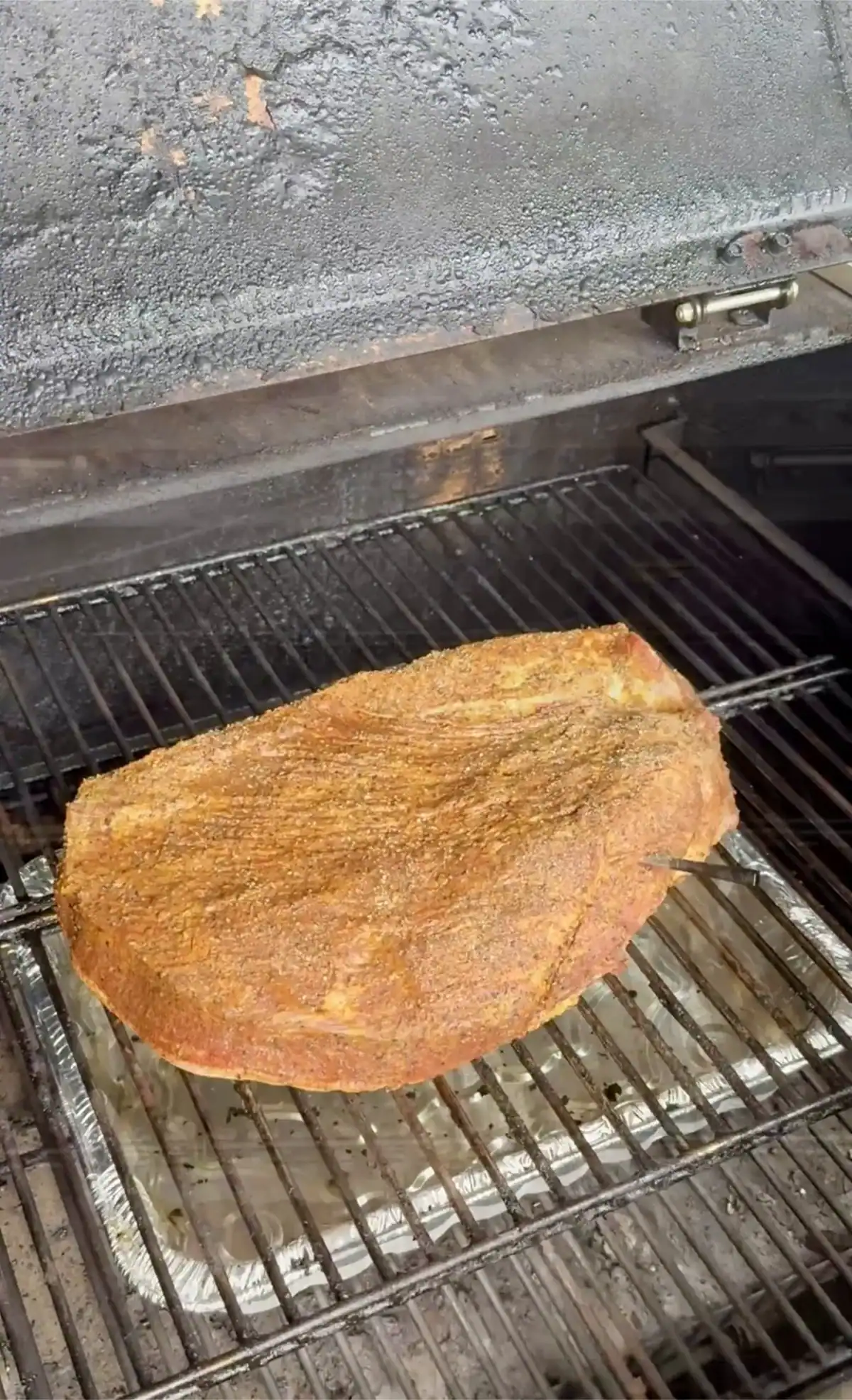 trimmed brisket