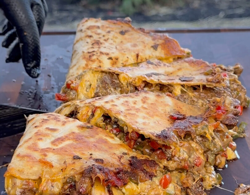 chopped up quesadilla