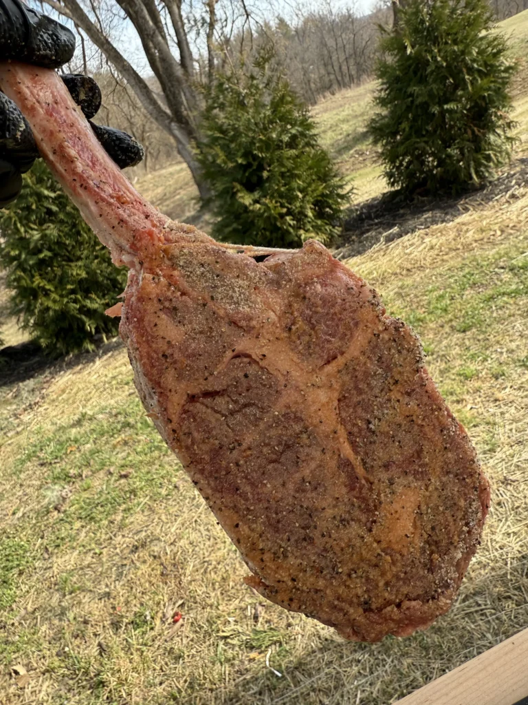 perfectly seasoned ribeye steak