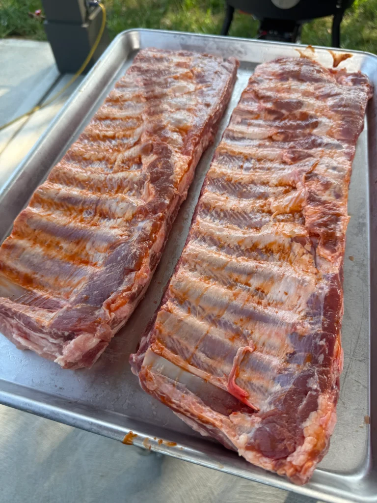 Close-up of baby back ribs with BBQ dry rub applied, ready for smoking at room temperature
