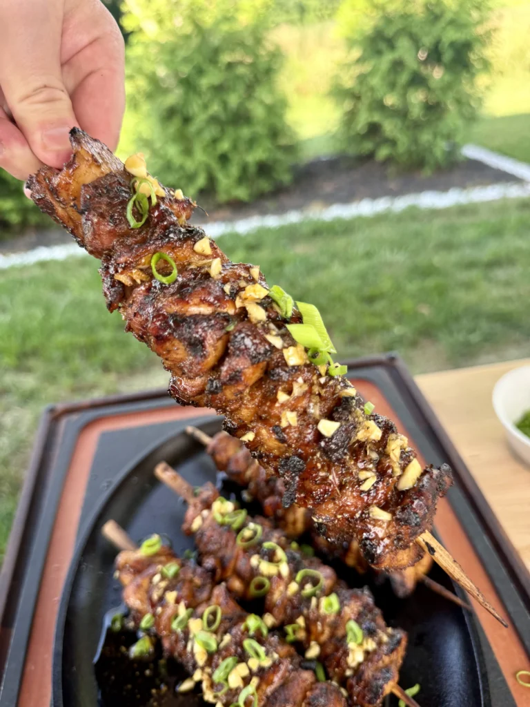 up close on the chicken skewers with green shrubs in the background