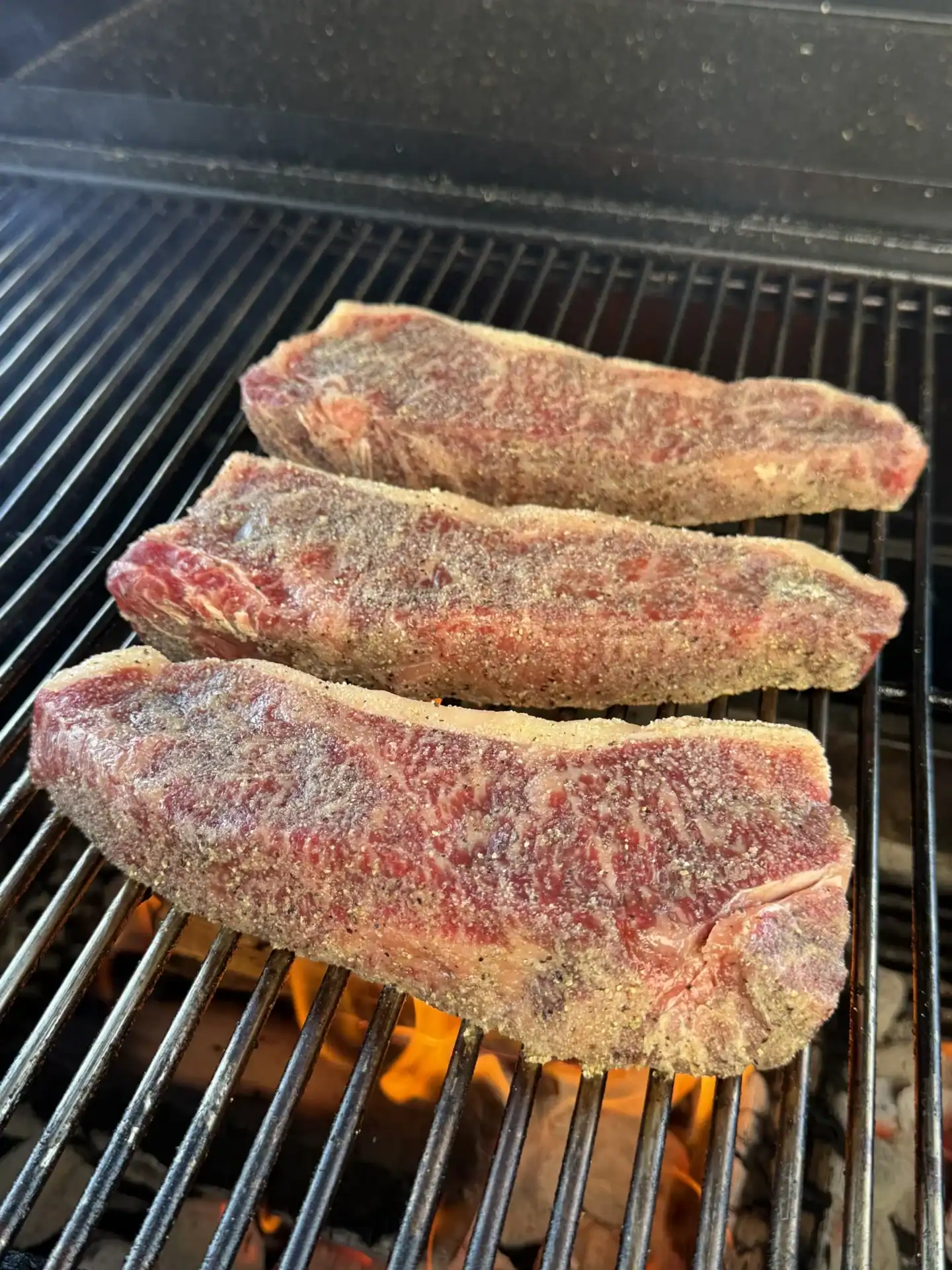 grilled steak on the hasty bake
