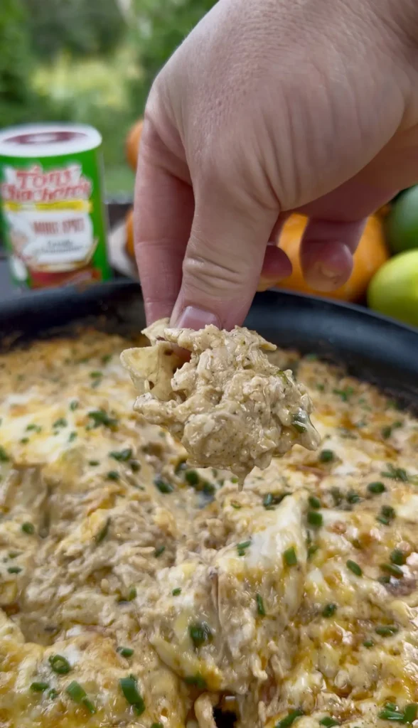 buffalo chicken dip with more detail