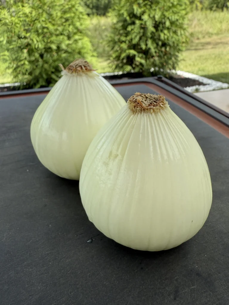 2 onions on a black cutting board