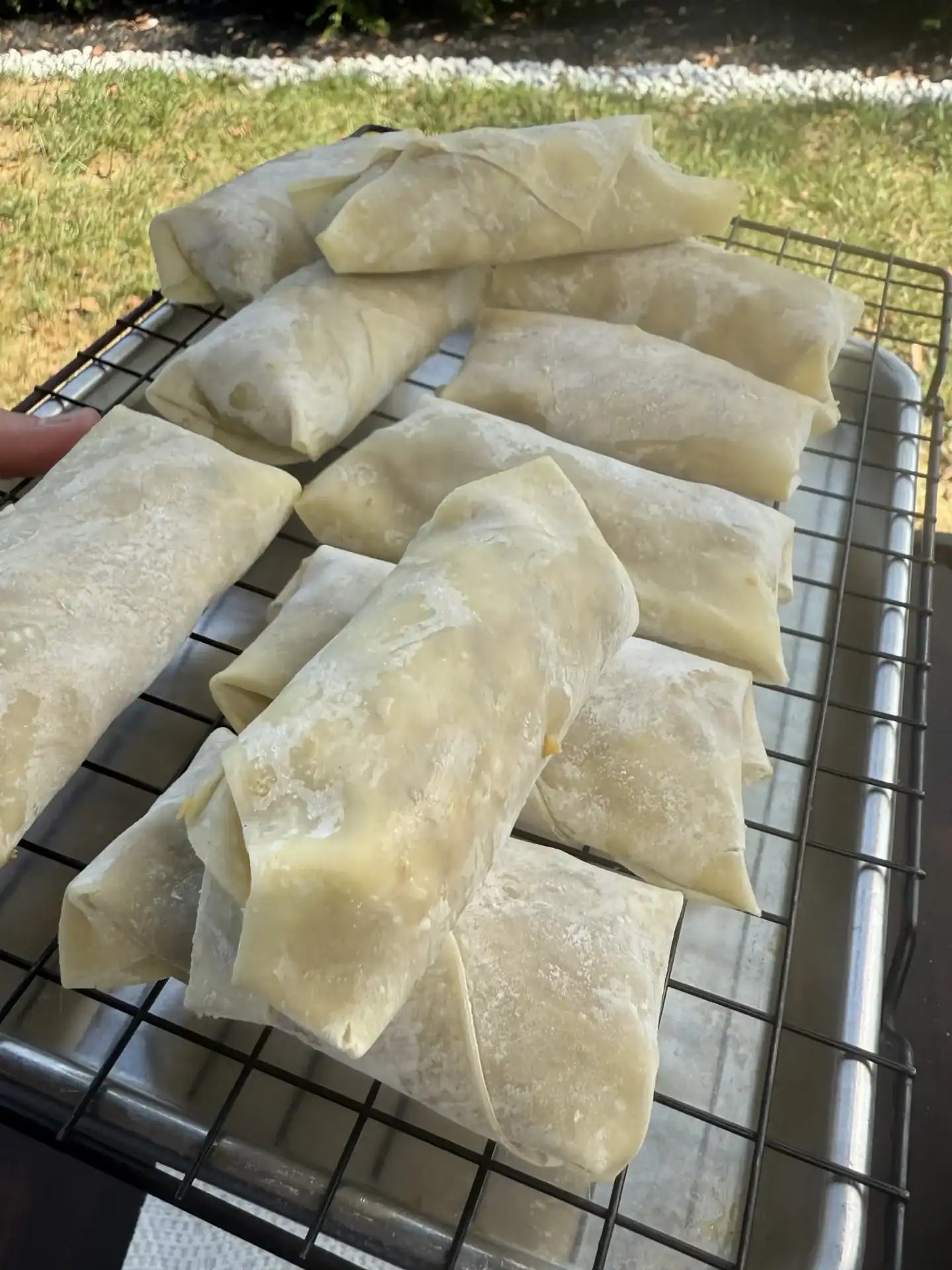 egg rolls on the resting rack before frying