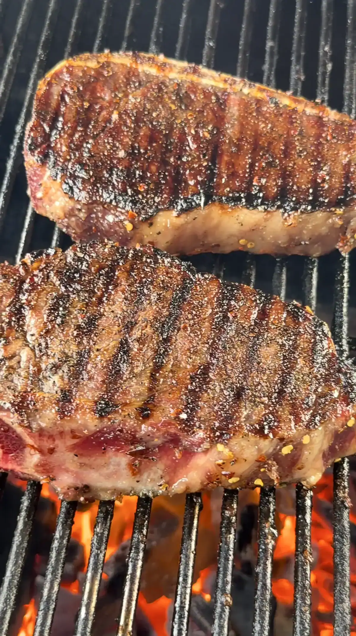 grilled ribeyes on the hasty bake 