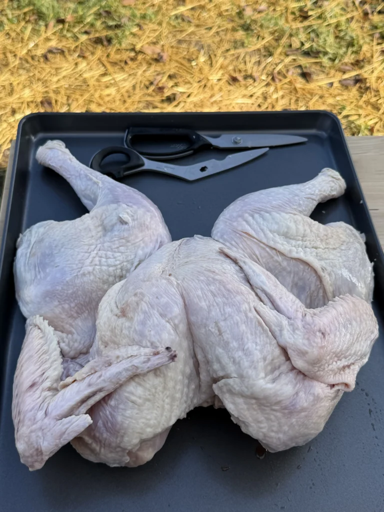 spatchcocked turkey on a cutting board