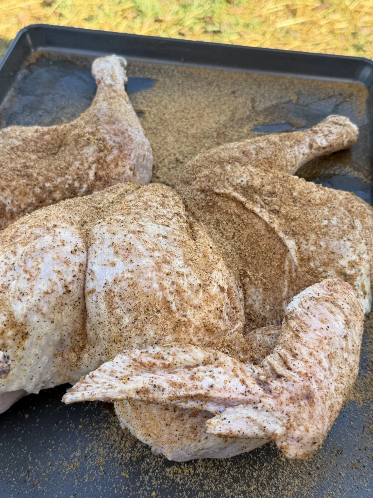 seasoned and injected turkey