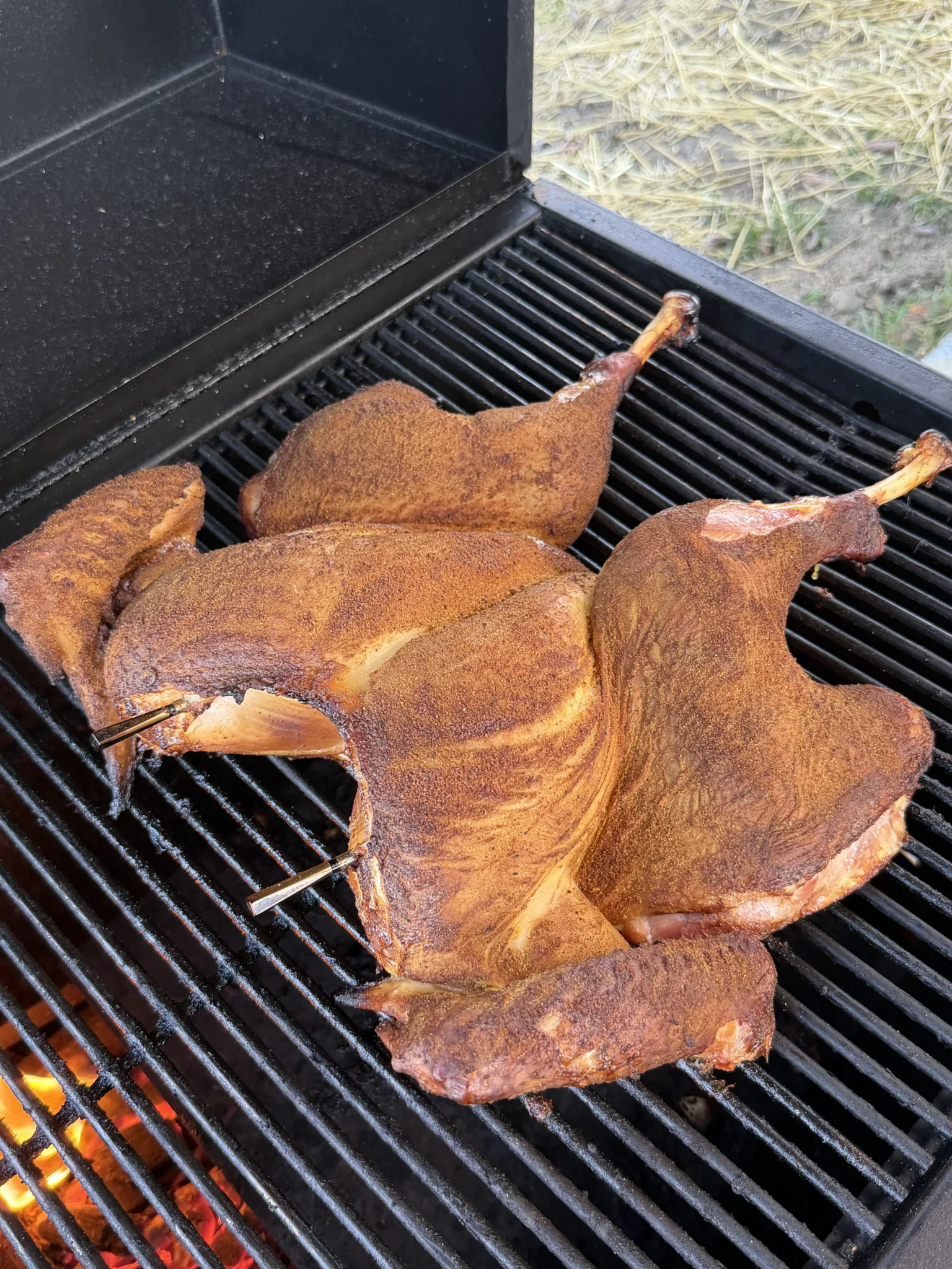 smoked bird on the hasty bake with a redish crust