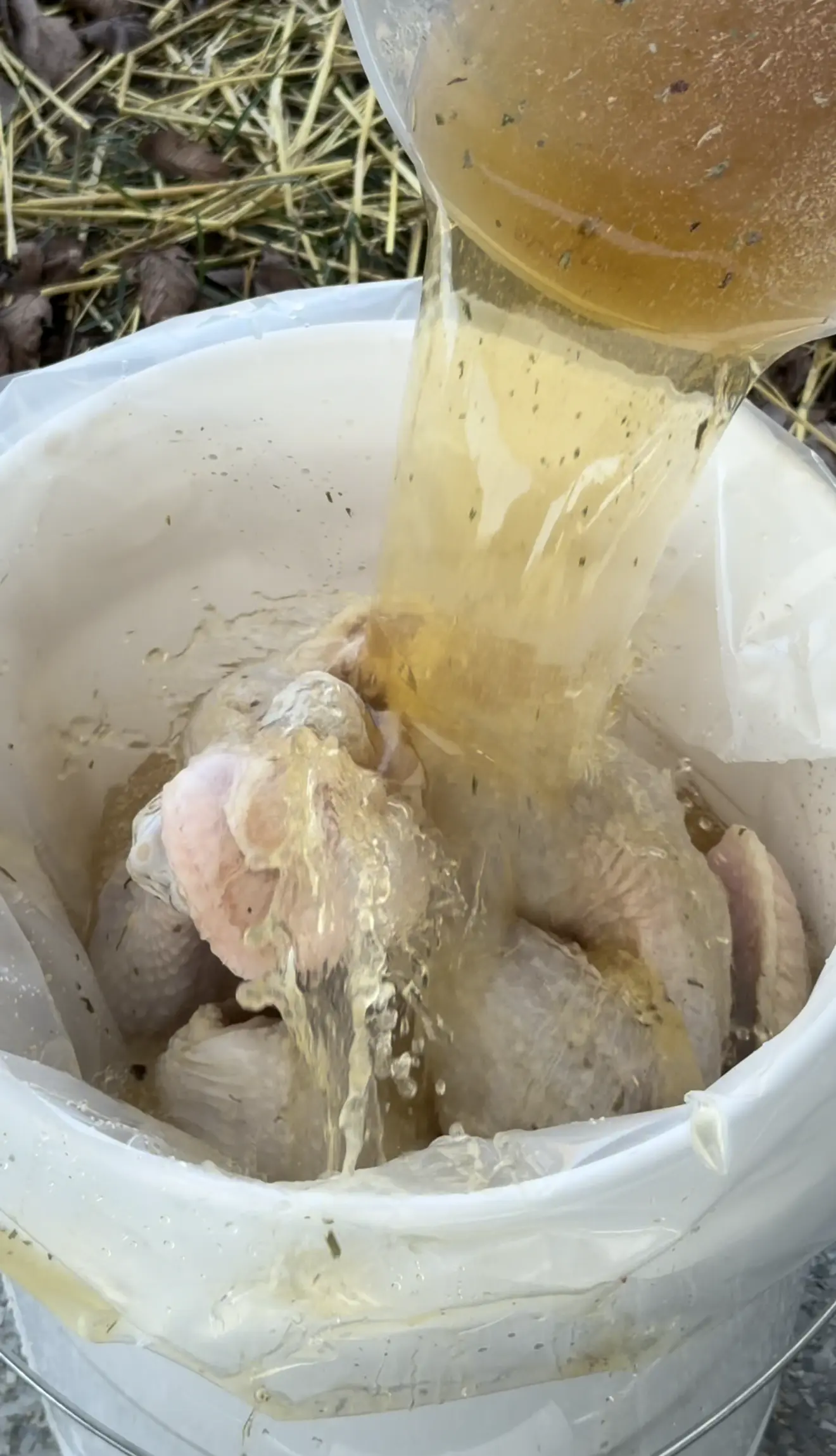 brine being poured on top of the turkey in a bucket