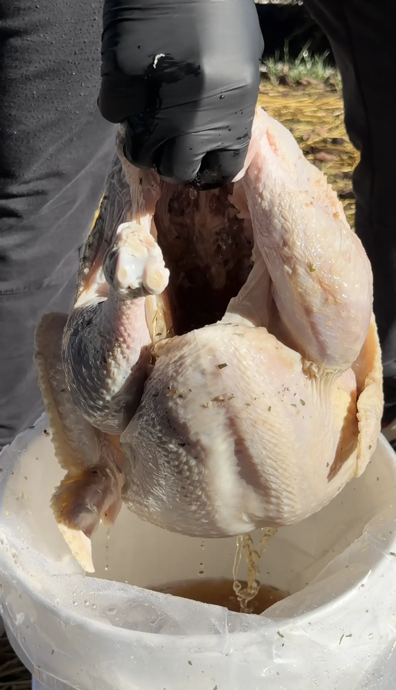 taking the turkey out of the brine
