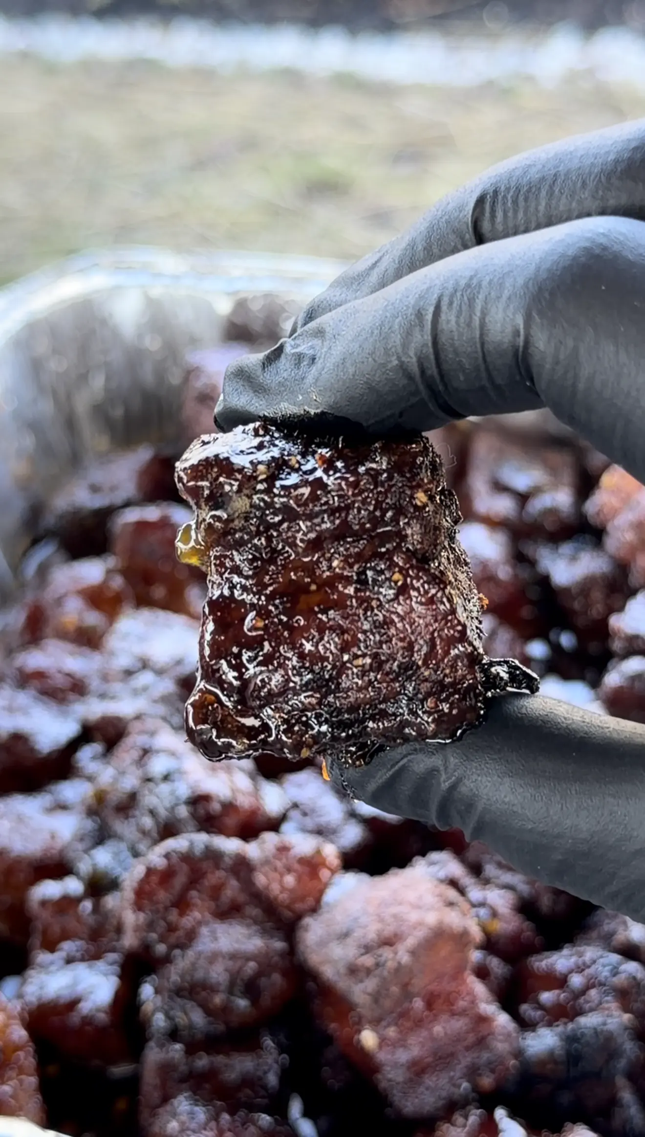 pork belly burnt ends