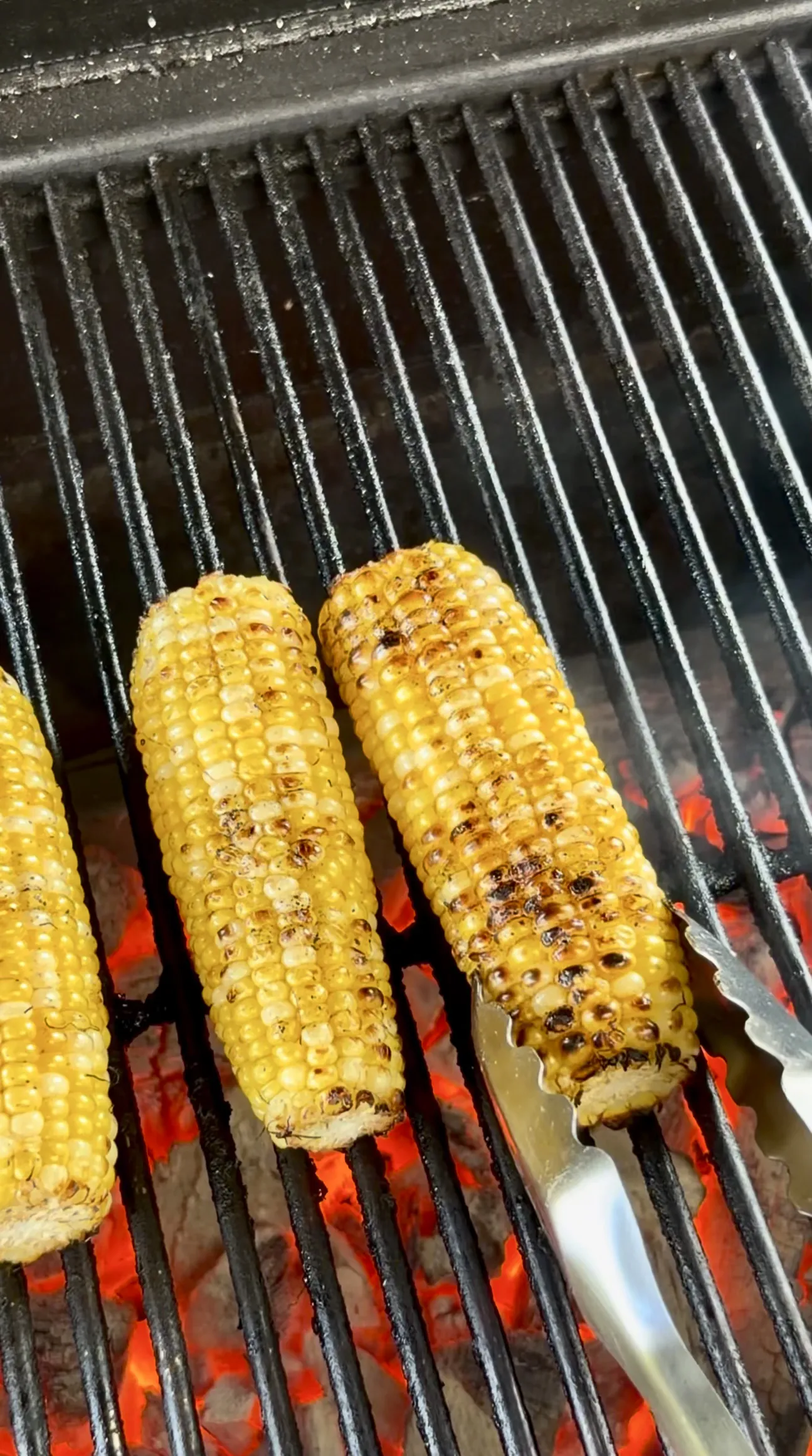 Golden corn on the cob with charred kernels grilling on metal grates over glowing red coals