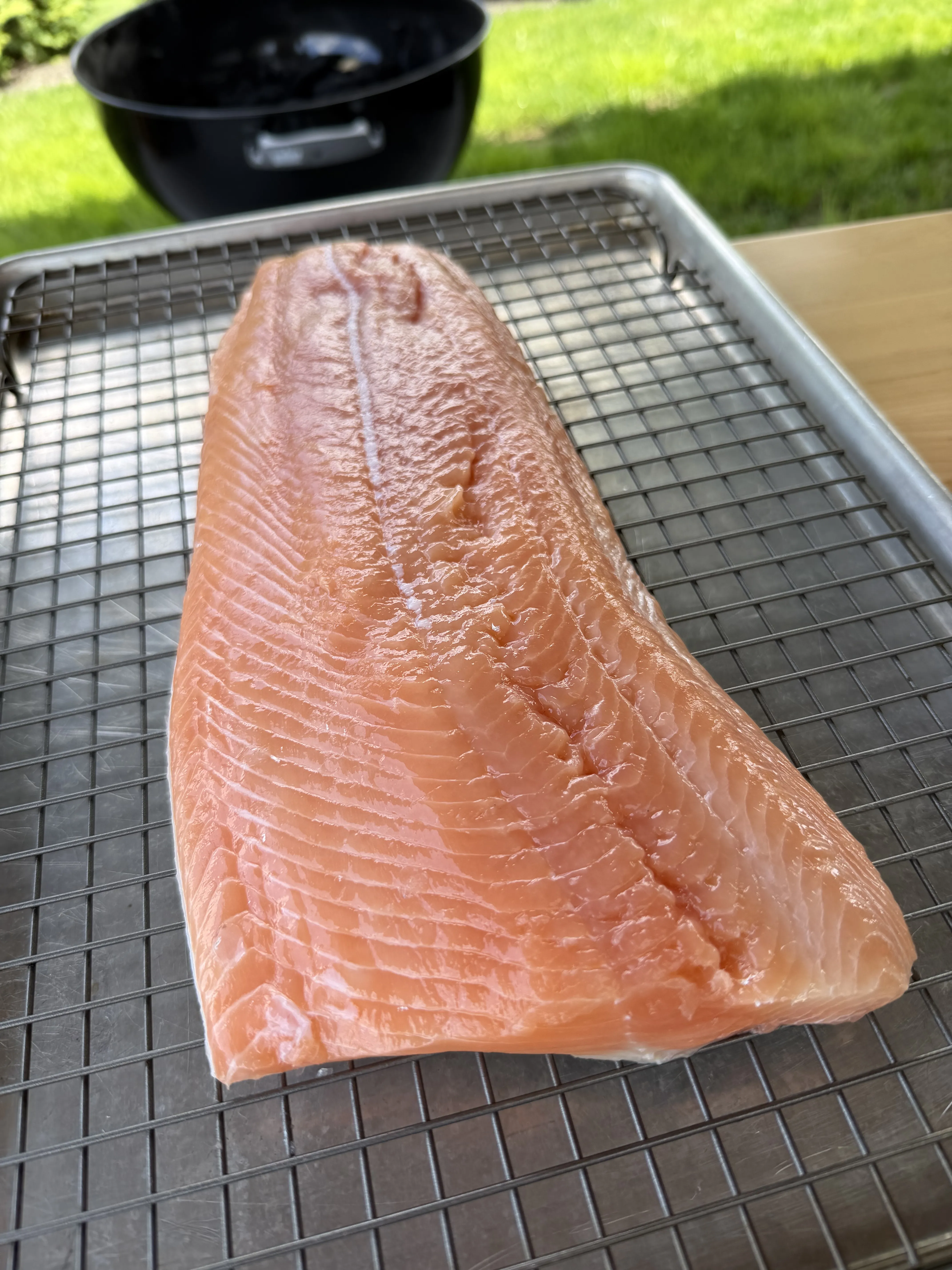 Fresh raw skin-on salmon fillet on a wire rack ready for the hot honey rub