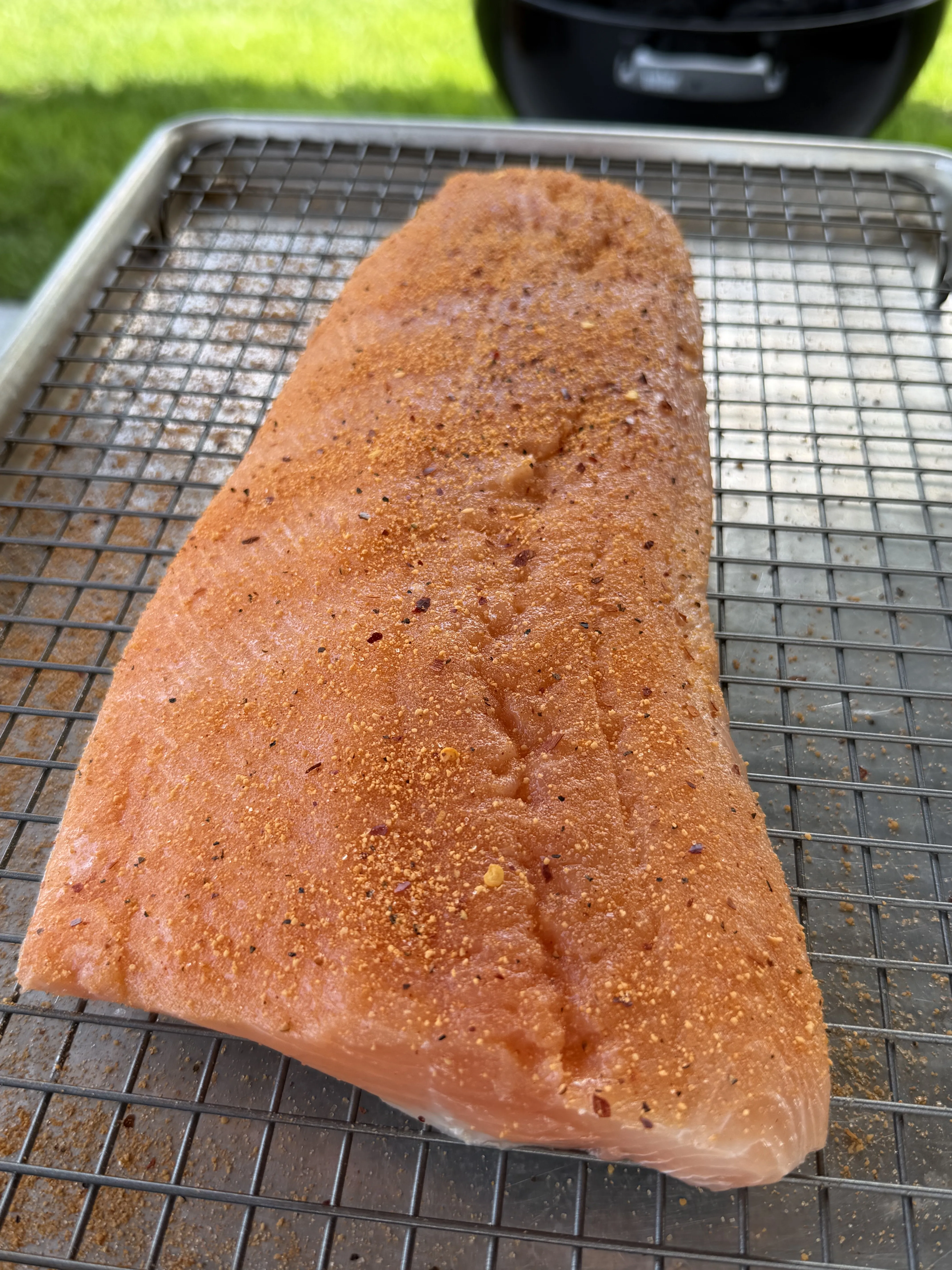 Raw salmon fillet coated with brown spice rub on a wire cooling rack