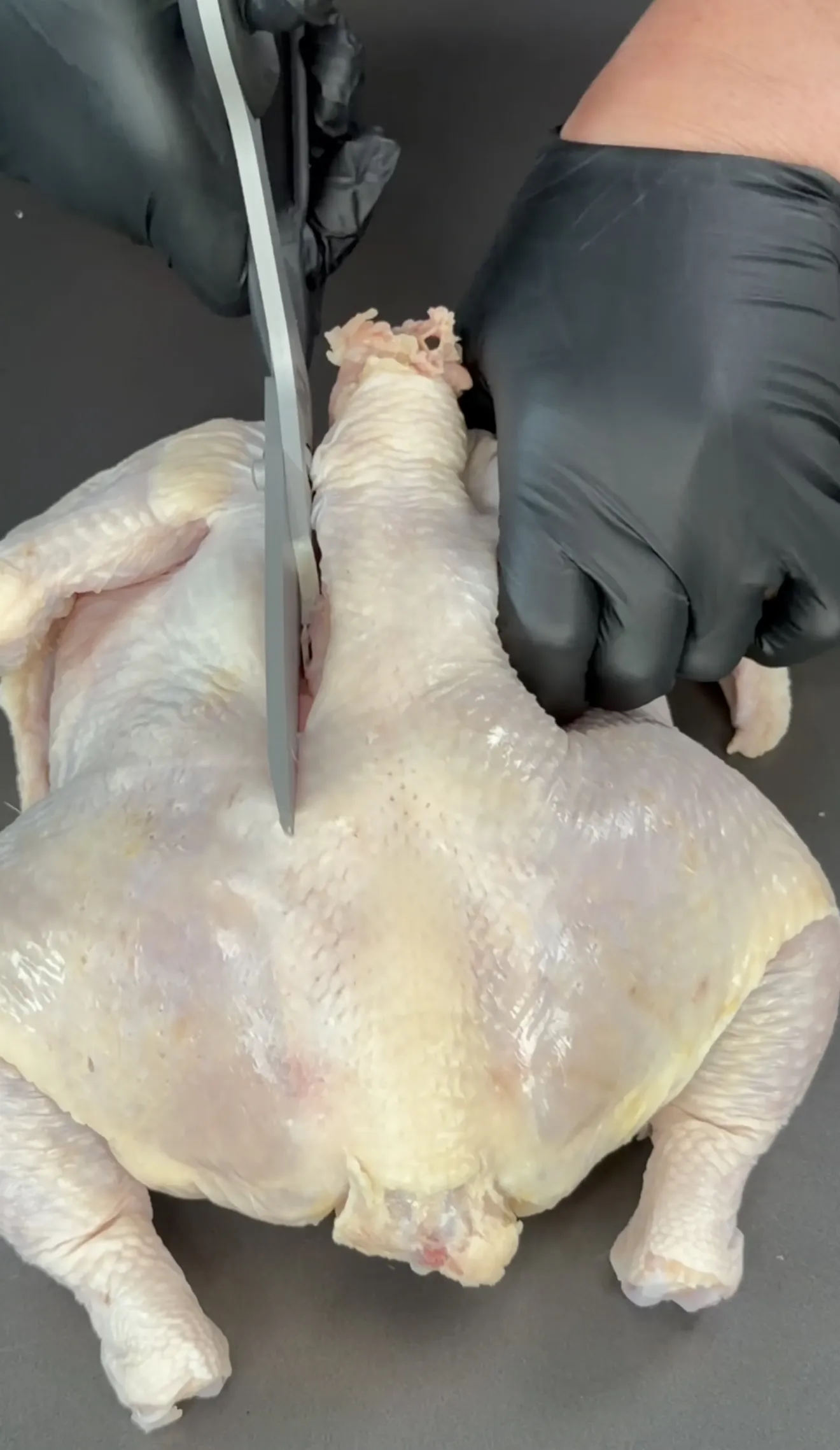 Raw whole chicken being spatchcocked with kitchen shears cutting through the backbone