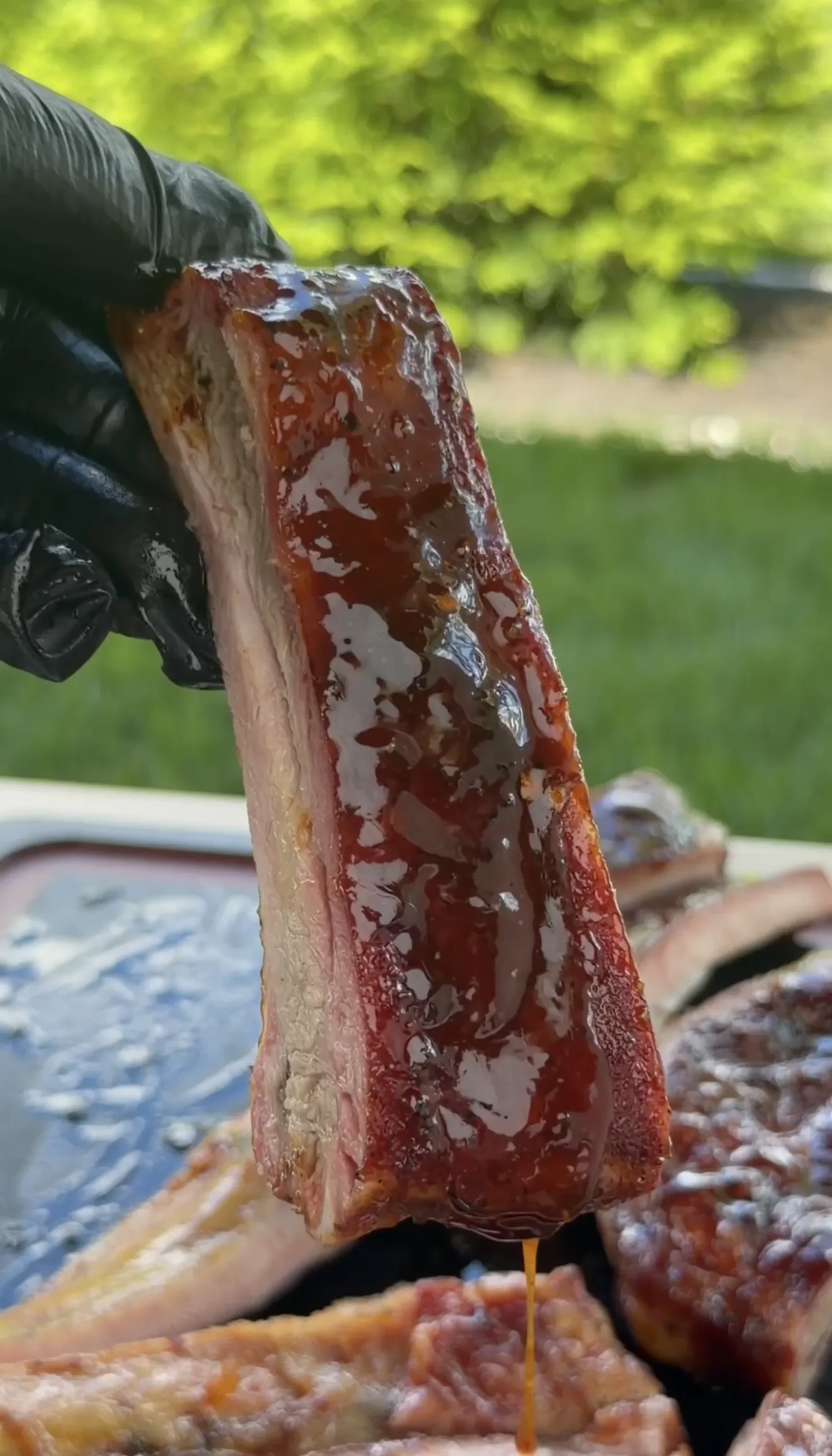 A glazed competition smoked spare rib held with a glove, dripping with caramelized BBQ sauce