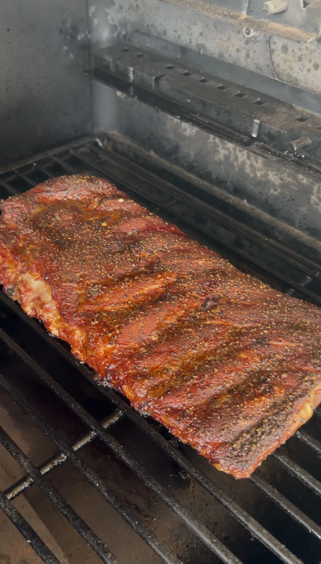 A rack of competition style spare ribs with dry rub bark smoking on grates inside a smoker