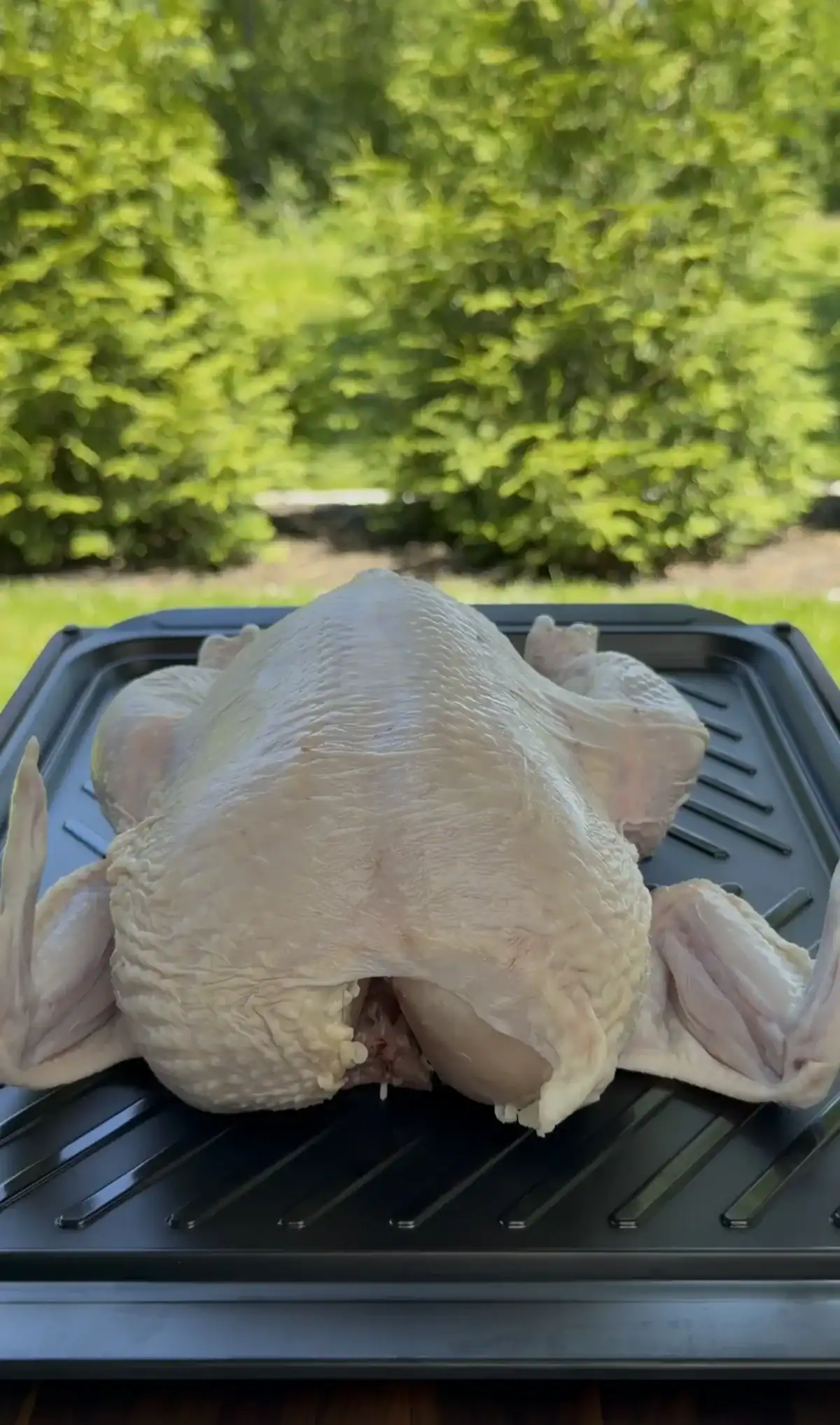 Whole raw chicken on a grill pan ready to be spatchcocked for the lemon garlic herb recipe