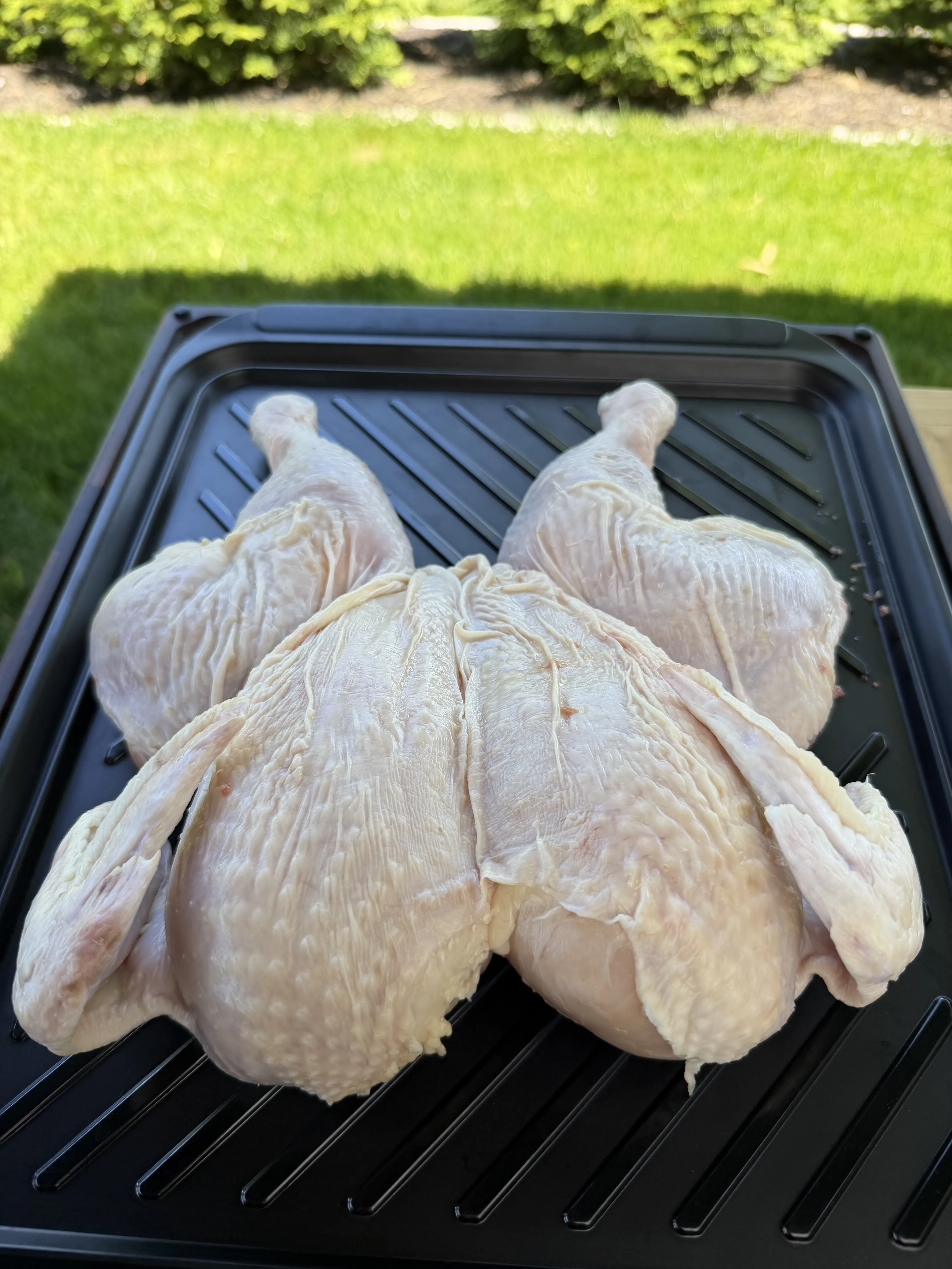 Spatchcocked chickens on the grill set up for indirect heat cooking