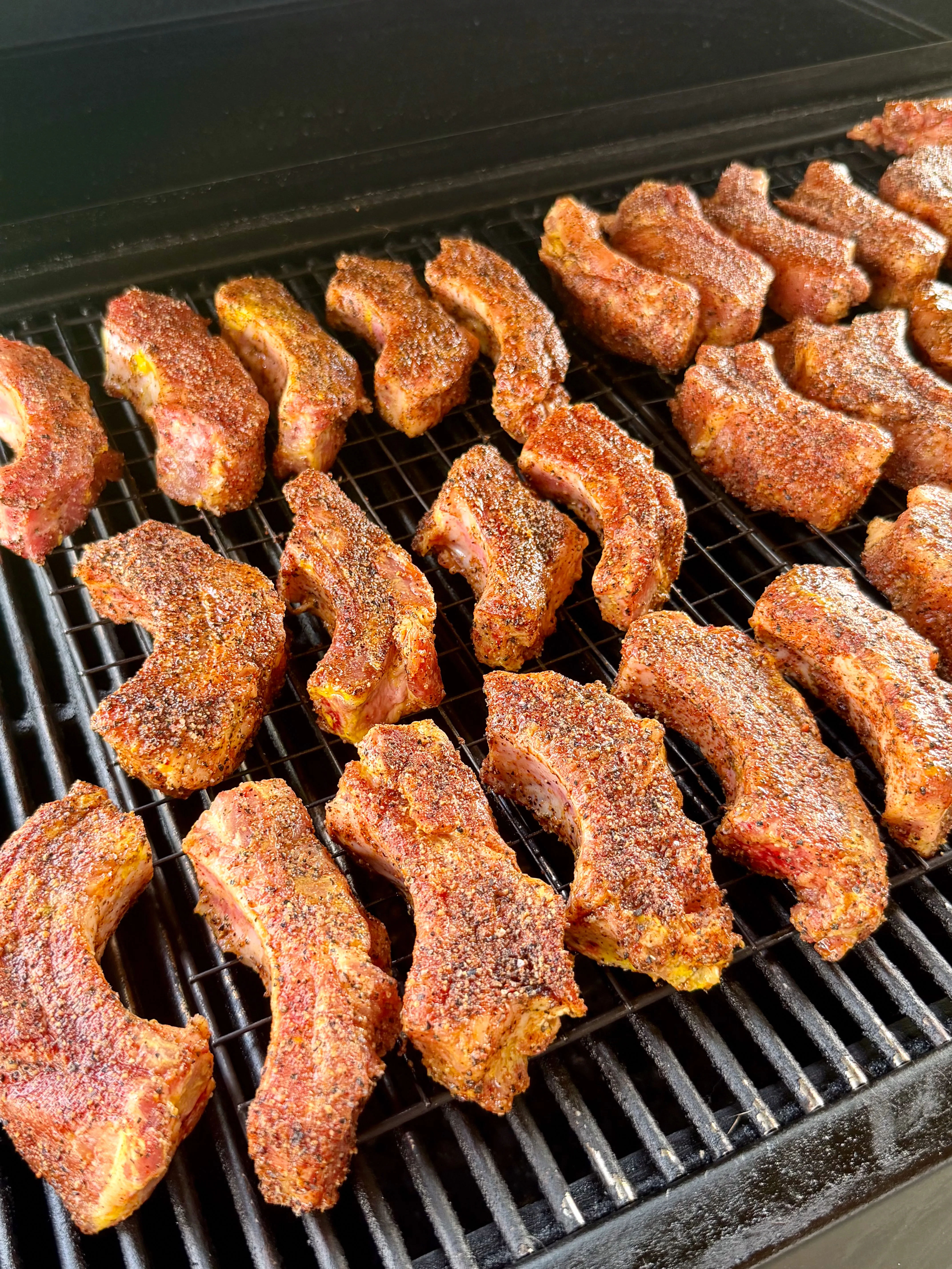 Individual party ribs coated in red dry rub arranged on smoker grill grates before smoking