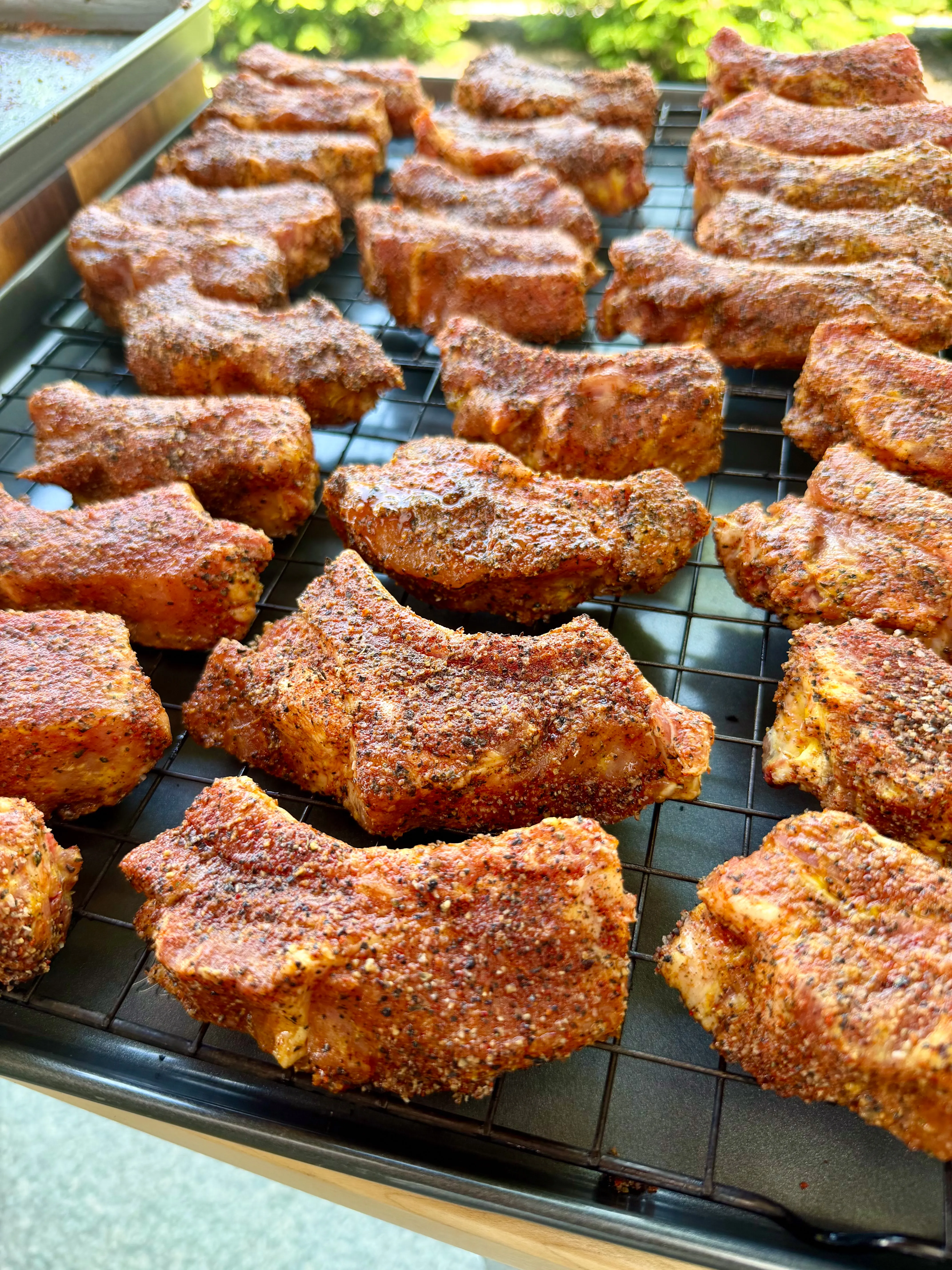 Individual party ribs coated in red spice dry rub on a wire rack baking sheet, ready to smoke