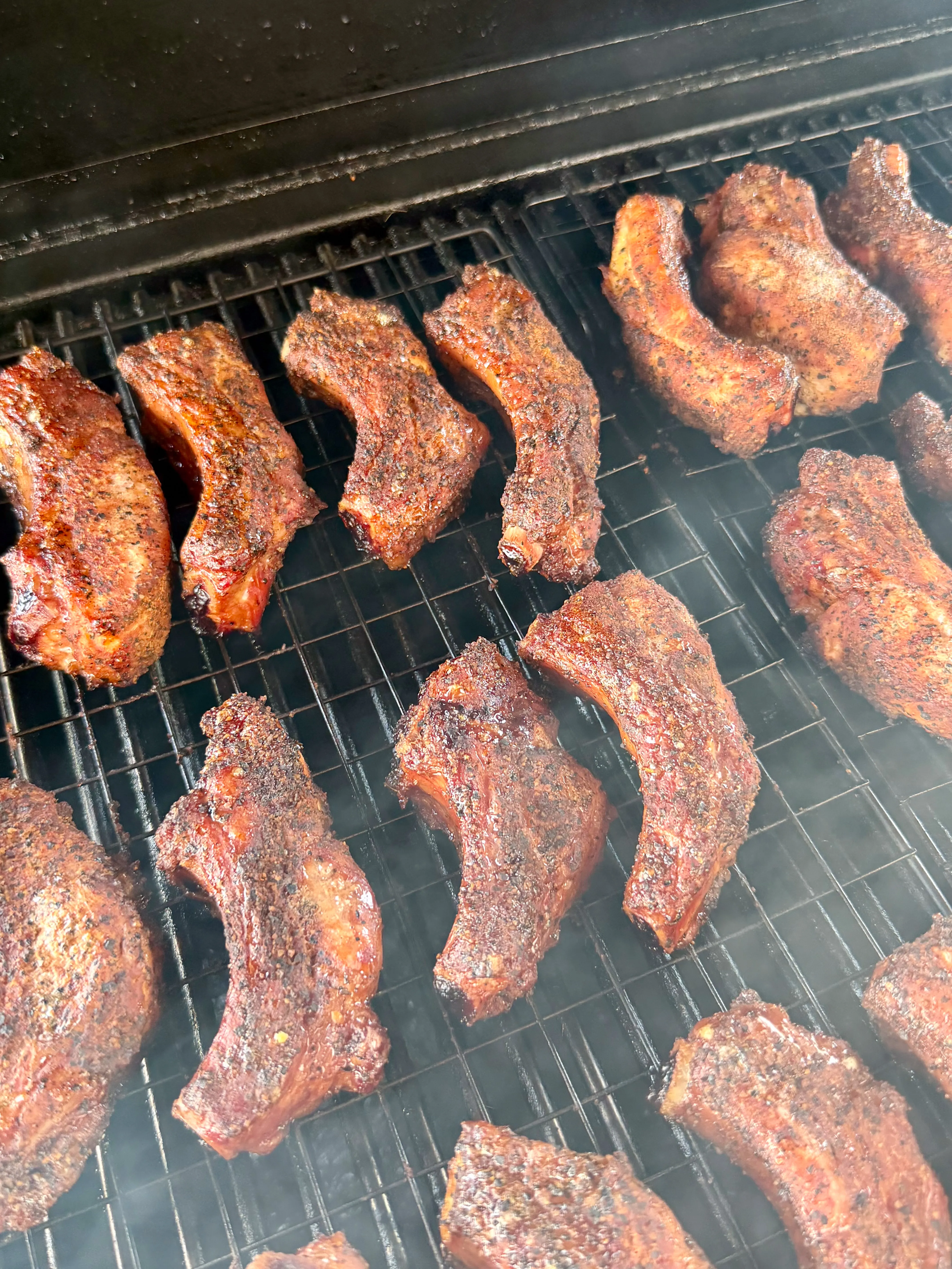Individual smoked party ribs coated in spice rub smoking on grill grates